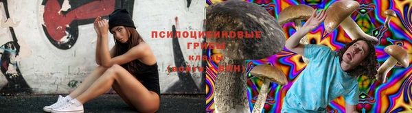 каннабис Арсеньев