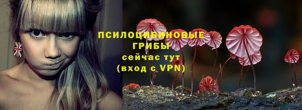MESCALINE Аркадак